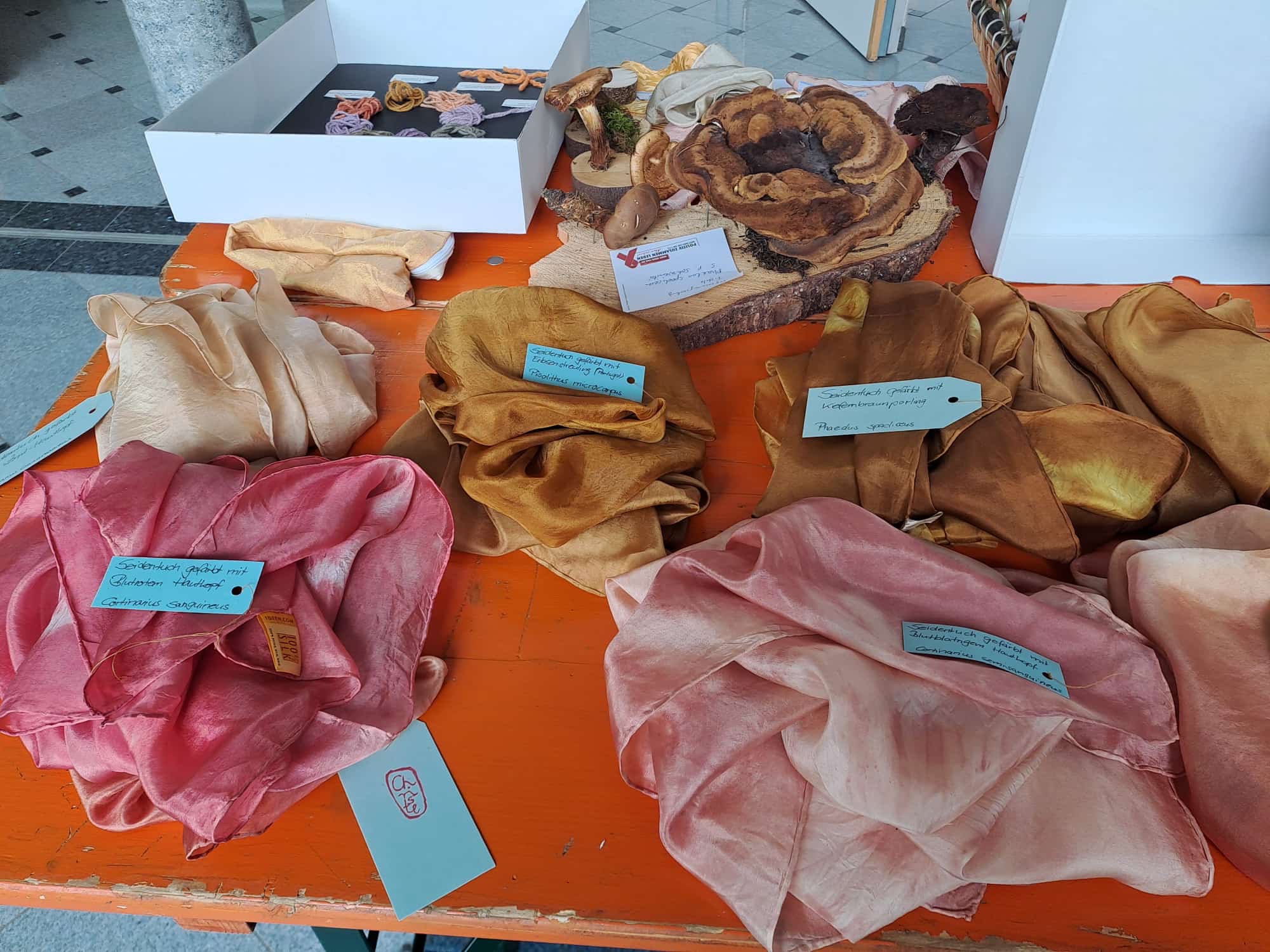 Ausstellung 05